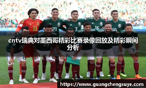 cntv瑞典对墨西哥精彩比赛录像回放及精彩瞬间分析