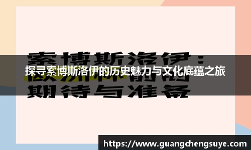 探寻索博斯洛伊的历史魅力与文化底蕴之旅